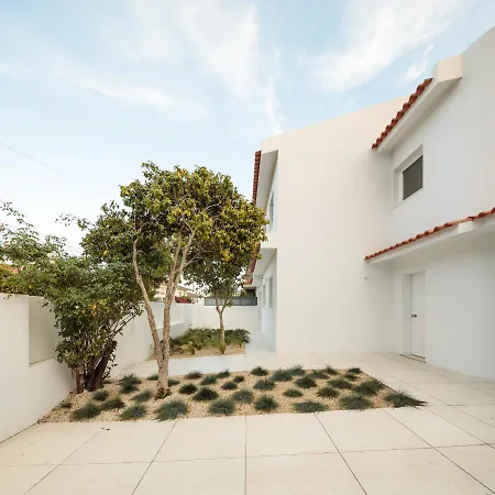 Villa Bicuda Modern