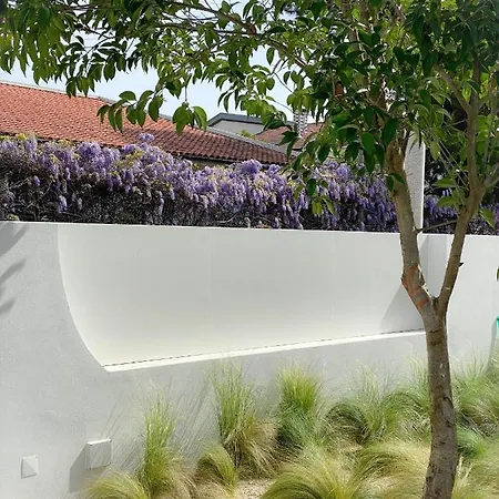 Bicuda Modern Villa