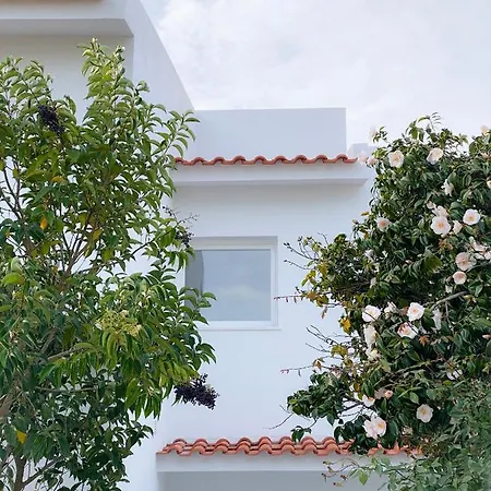 Villa Bicuda Modern